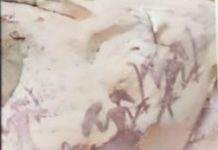 बक्सवाहा के जंगलों में पाया गया हीरो का अपार भंडार