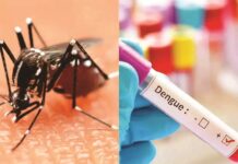 दिल्ली में डेंगू से मरने वालों की संख्या बढ़कर 6, केंद्रीय स्वास्थ्य मंत्री ने बुलाई हाईलेवल मीटिंग