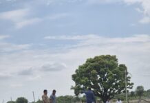 अमरावती नागपुर हाईवे पर दिनदहाड़े लूट की घटना।