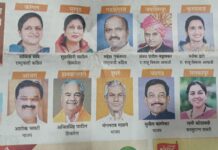 आठ नगरपालिकाओं और तीन पंचायतों में ‘महायुति’ ध्वज फहराया गया।