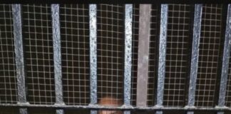 लखनऊ में स्कूली छात्रा से दुष्कर्म का आरोप, स्कूल वैन चालक हिरासत में; मामले की जांच जारी।